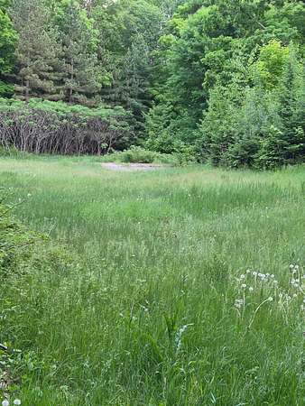 0.69 Acres of Land for Sale in McGregor, Minnesota