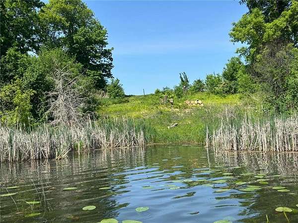 5 Acres of Residential Land for Sale in Annandale, Minnesota