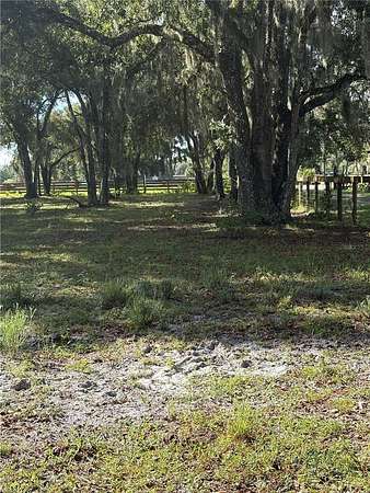 5 Acres of Residential Land for Sale in Chuluota, Florida