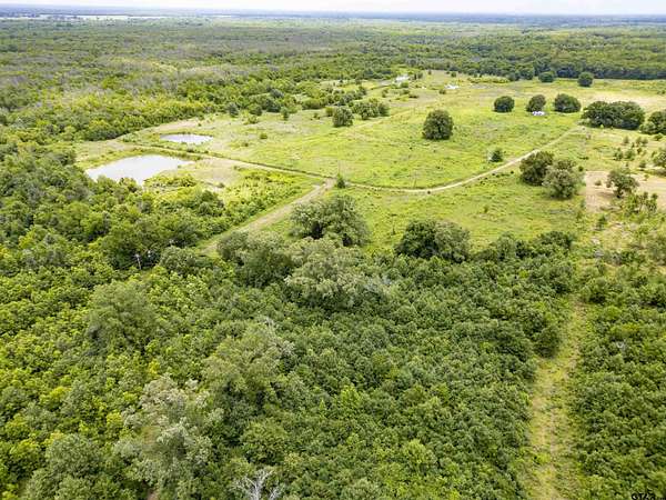 32 Acres of Recreational Land for Sale in Mount Pleasant, Texas