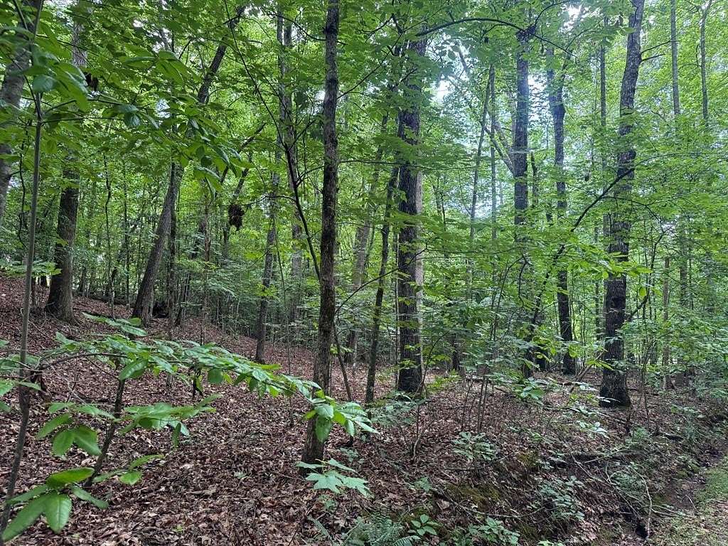 0.35 Acres of Land for Sale in Hayesville, North Carolina
