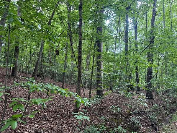 0.35 Acres of Land for Sale in Hayesville, North Carolina
