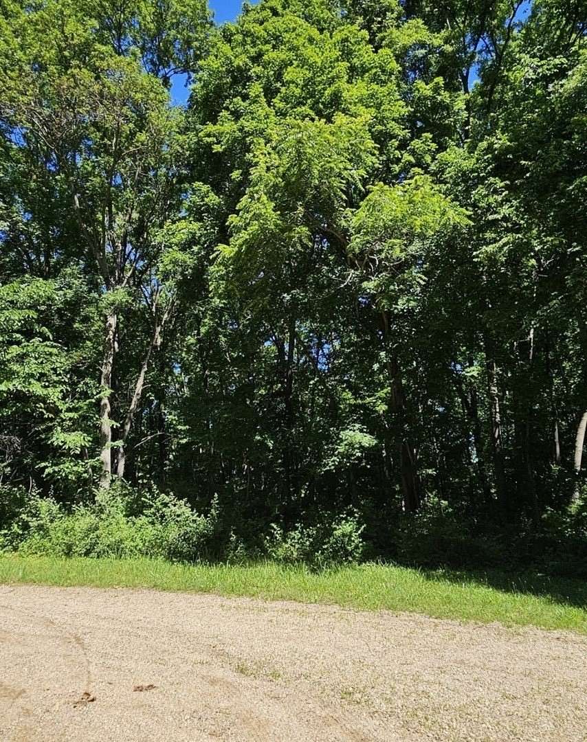 Land for Sale in Putnam, Illinois