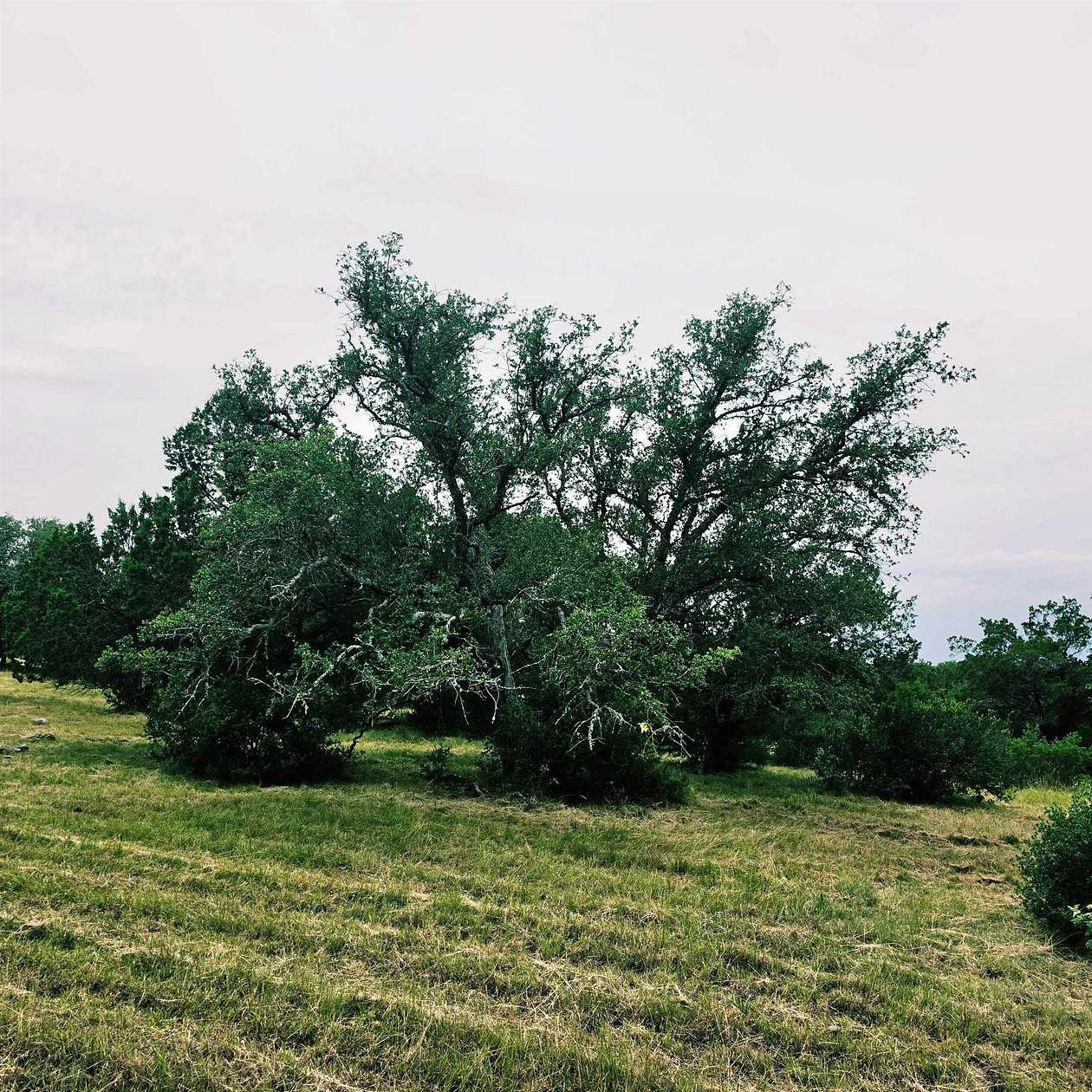 0.28 Acres of Residential Land for Sale in Horseshoe Bay, Texas