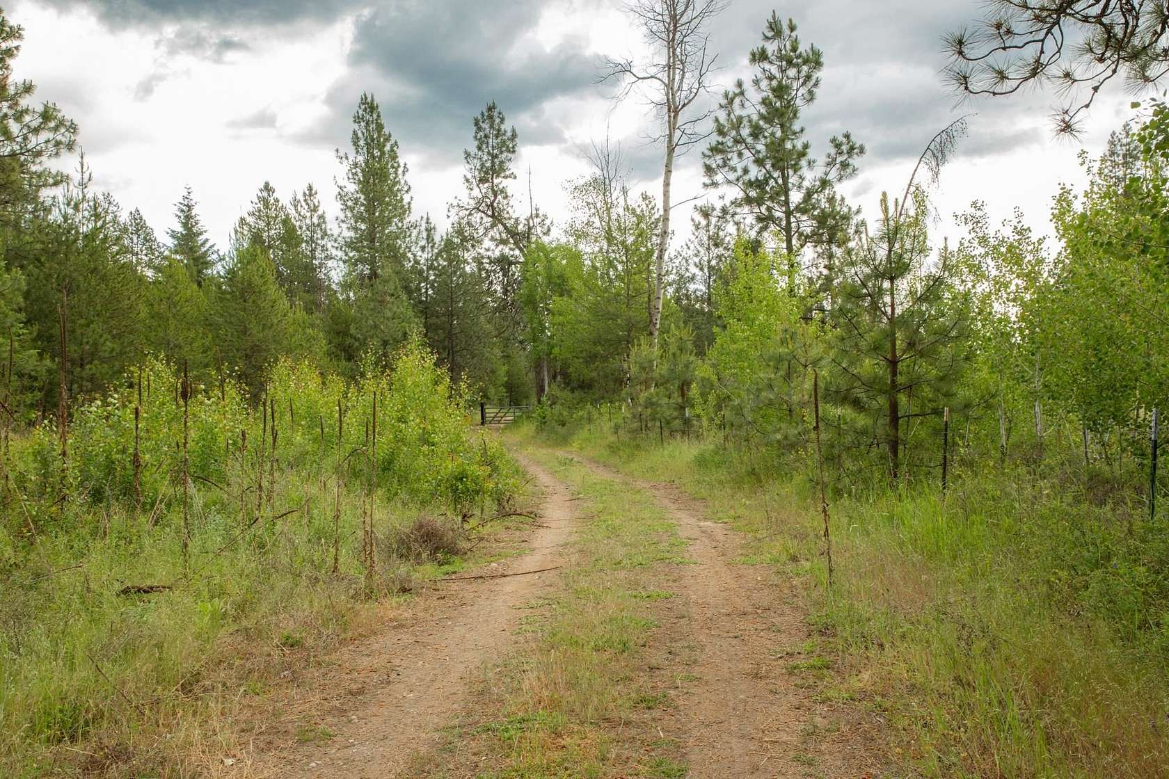 80 Acres of Land for Sale in Springdale, Washington