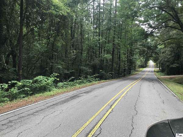 54.2 Acres of Recreational Land for Sale in Calhoun, Louisiana