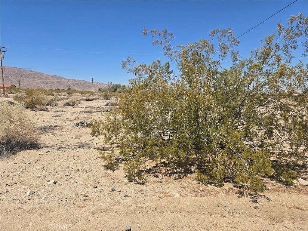 0.18 Acres of Residential Land for Sale in Twentynine Palms, California
