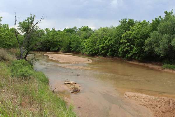119 Acres of Agricultural Land for Auction in Alva, Oklahoma