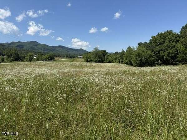 46.5 Acres of Land for Sale in Jonesborough, Tennessee