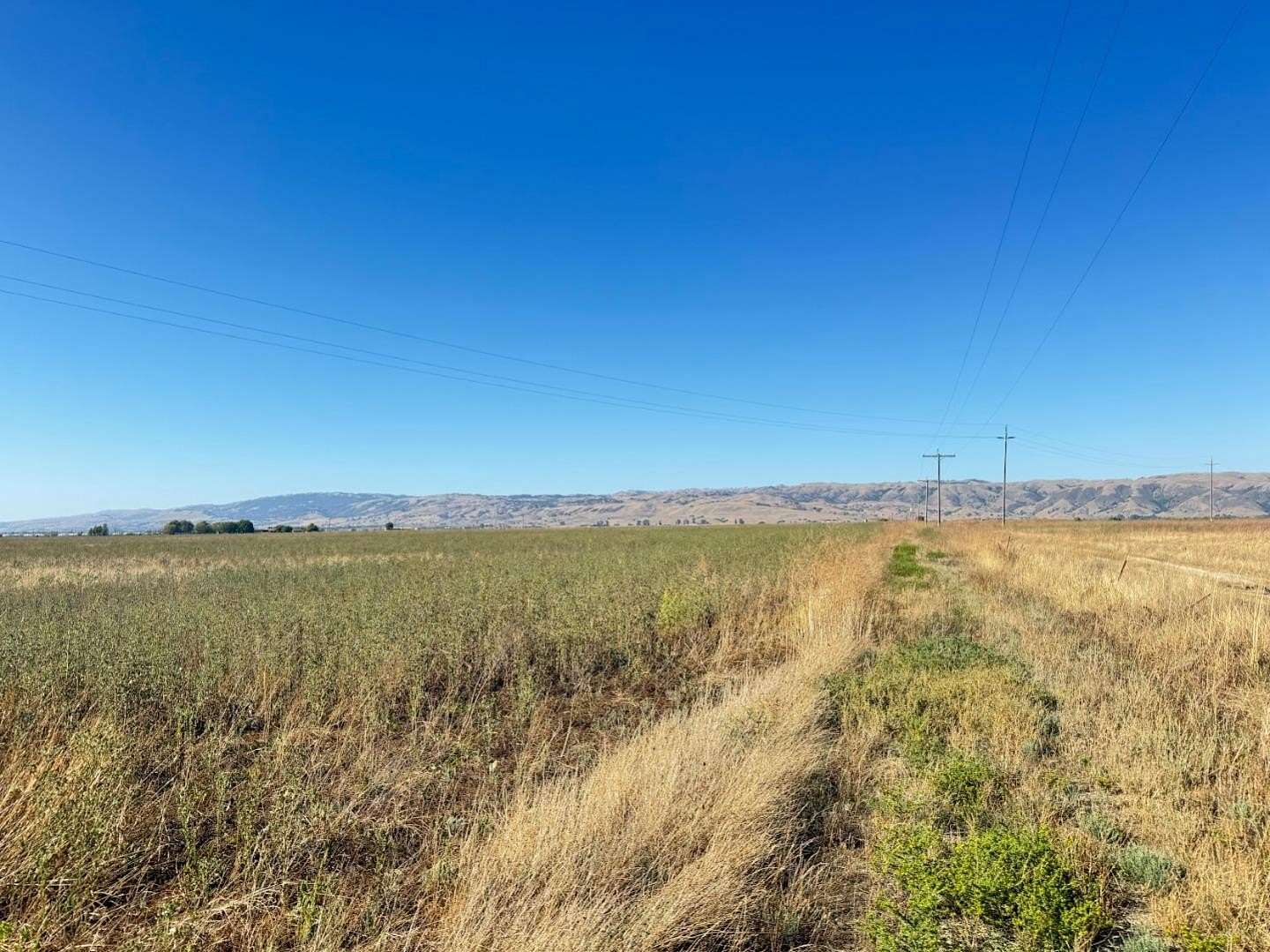 143 Acres of Agricultural Land for Sale in Hollister, California