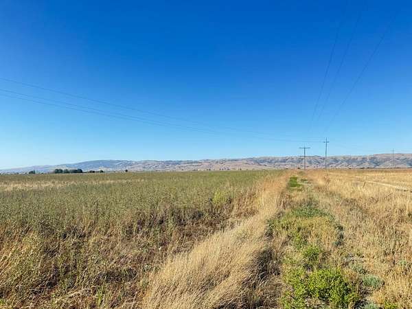 143 Acres of Agricultural Land for Sale in Hollister, California