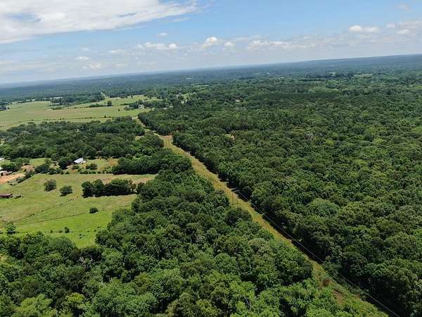 10 Acres of Recreational & Residential Land for Sale in Palestine, Texas