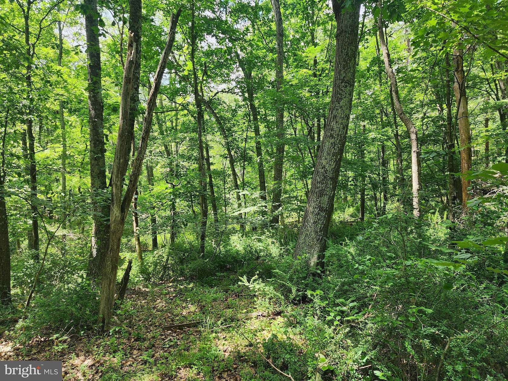 2 Acres of Residential Land for Sale in Romney, West Virginia