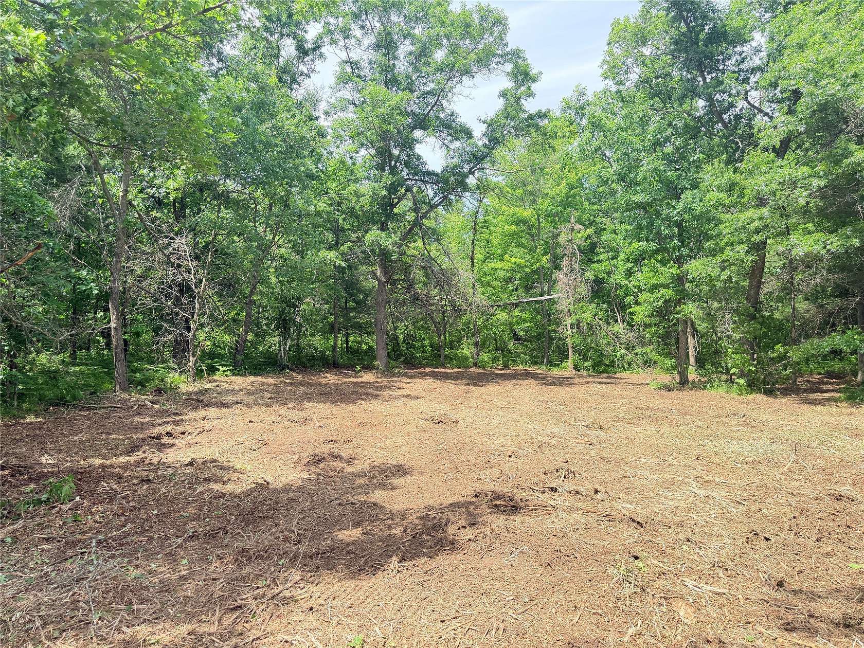 7.35 Acres of Land for Sale in Bruce, Wisconsin