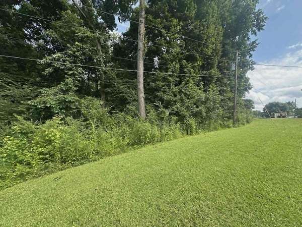 2 Acres of Residential Land for Sale in Rogersville, Alabama
