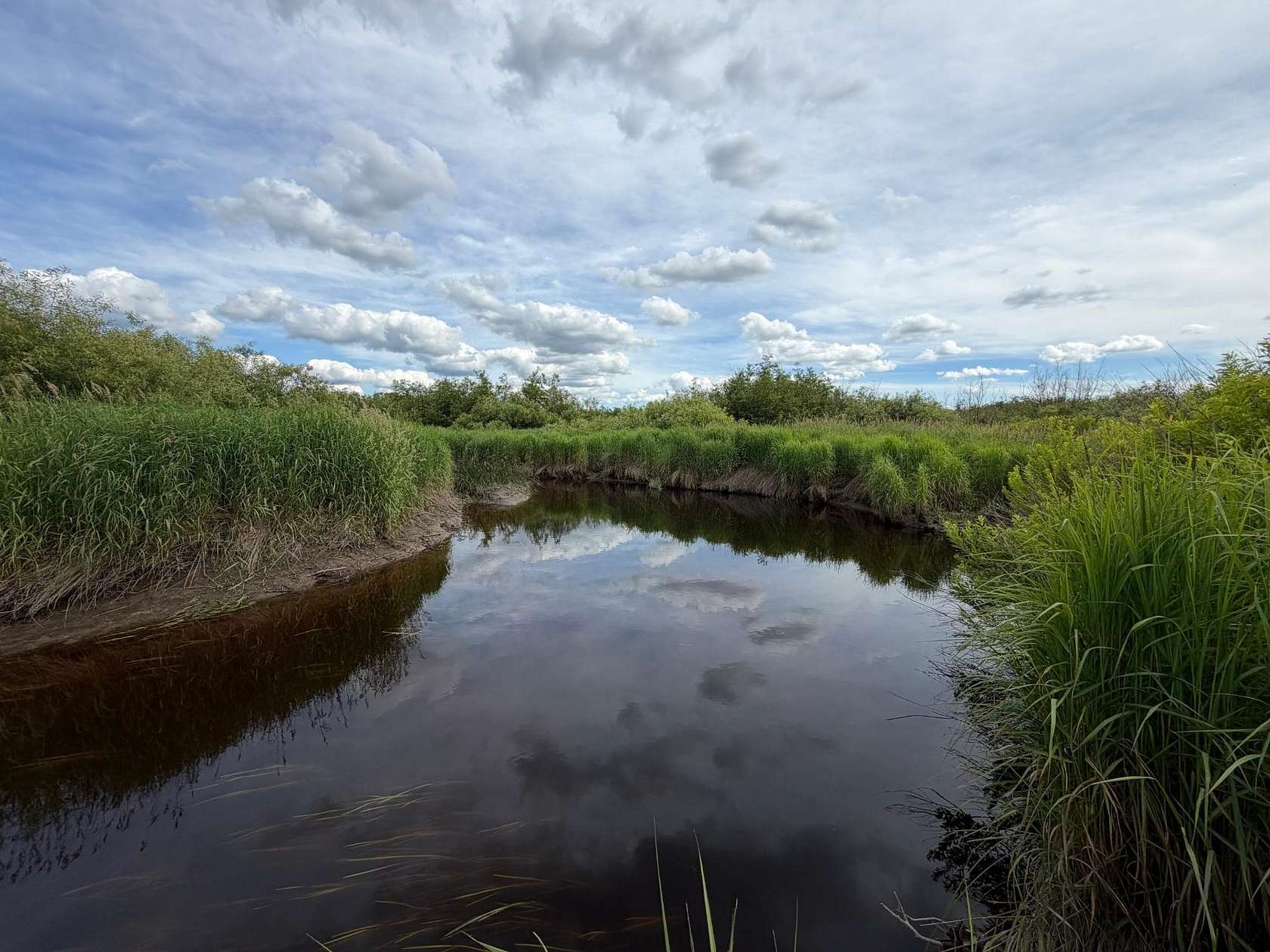 40 Acres of Recreational Land for Sale in Merrill, Wisconsin