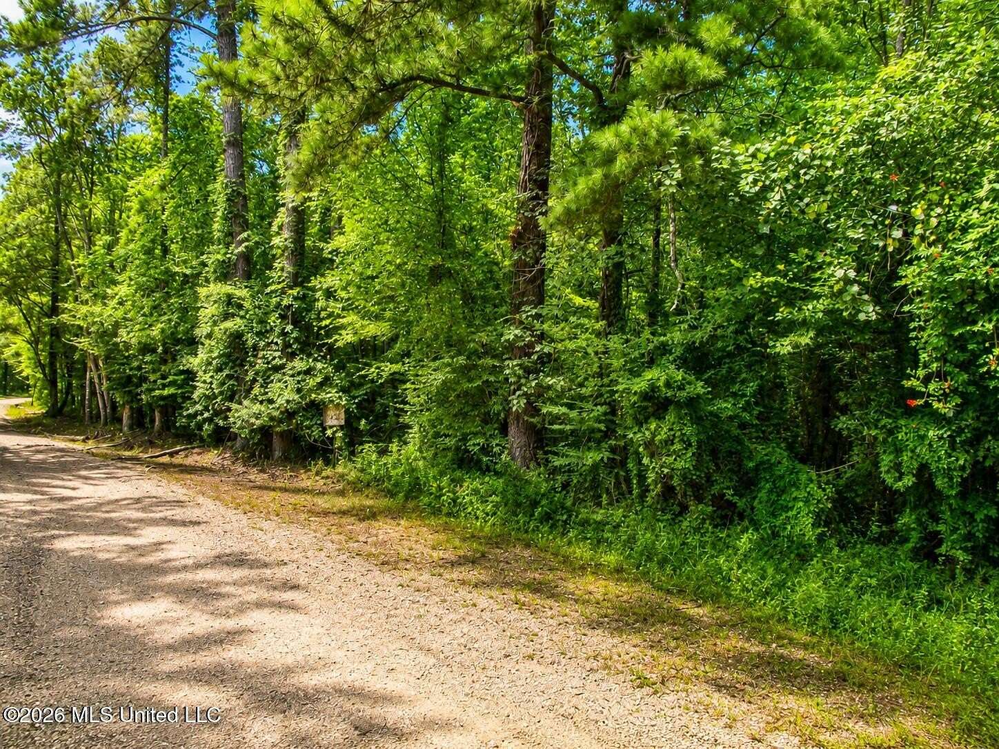 283 Acres of Land for Sale in Amite, Louisiana