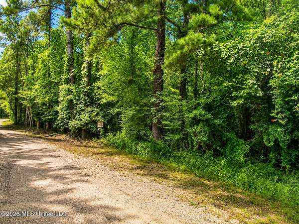 283 Acres of Land for Sale in Amite, Louisiana