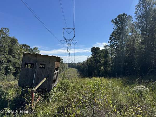 283 Acres of Land for Sale in Amite, Louisiana