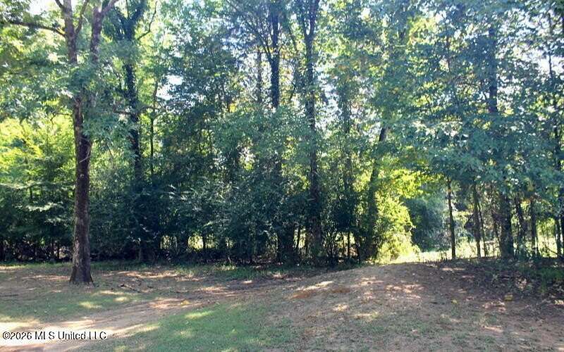 8.85 Acres of Residential Land for Sale in Madison, Mississippi