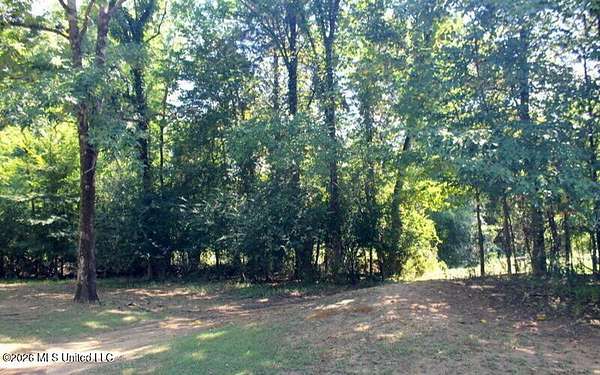 8.85 Acres of Residential Land for Sale in Madison, Mississippi