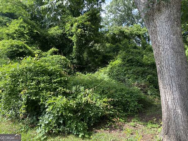 0.89 Acres of Land for Sale in Social Circle, Georgia