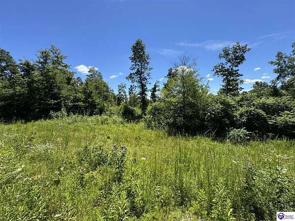 30.8 Acres of Recreational Land for Sale in Falls of Rough, Kentucky