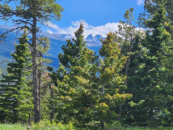 2 Acres of Land for Sale in Big Horn, Wyoming