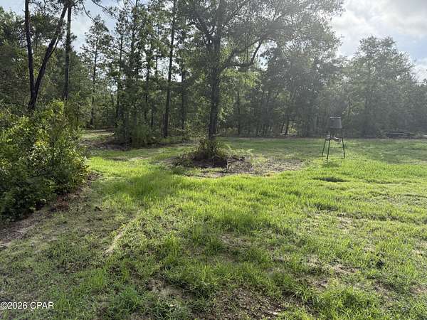 10 Acres of Residential Land for Sale in Chipley, Florida