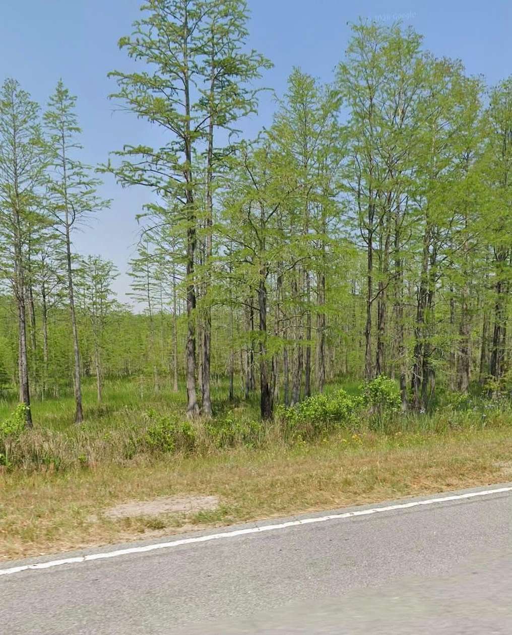 352 Acres of Recreational Land for Sale in Olar, South Carolina