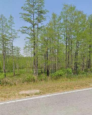 352 Acres of Recreational Land for Sale in Olar, South Carolina
