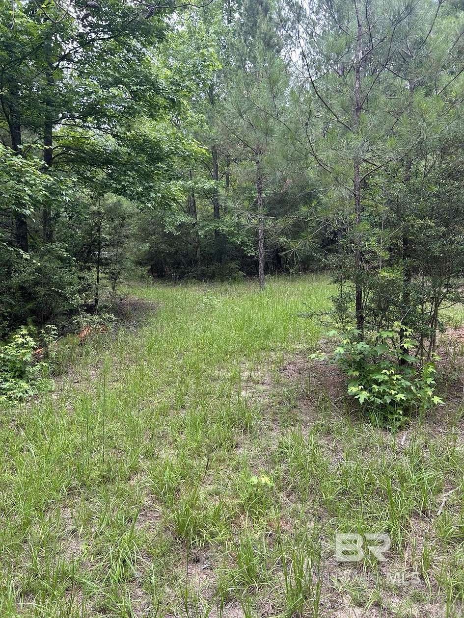 90 Acres of Recreational & Residential Land for Sale in Brewton, Alabama