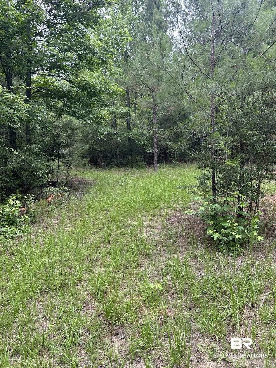 90 Acres of Recreational & Residential Land for Sale in Brewton, Alabama