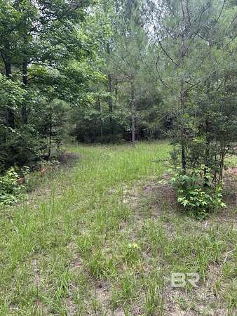 90 Acres of Recreational & Residential Land for Sale in Brewton, Alabama