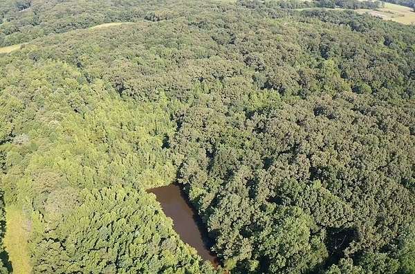 74 Acres of Land for Sale in Buchanan, Tennessee