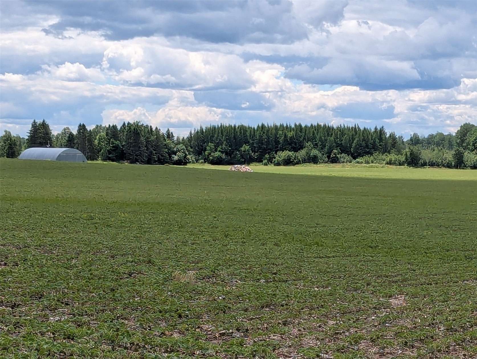 760 Acres of Land for Sale in Glen Flora, Wisconsin