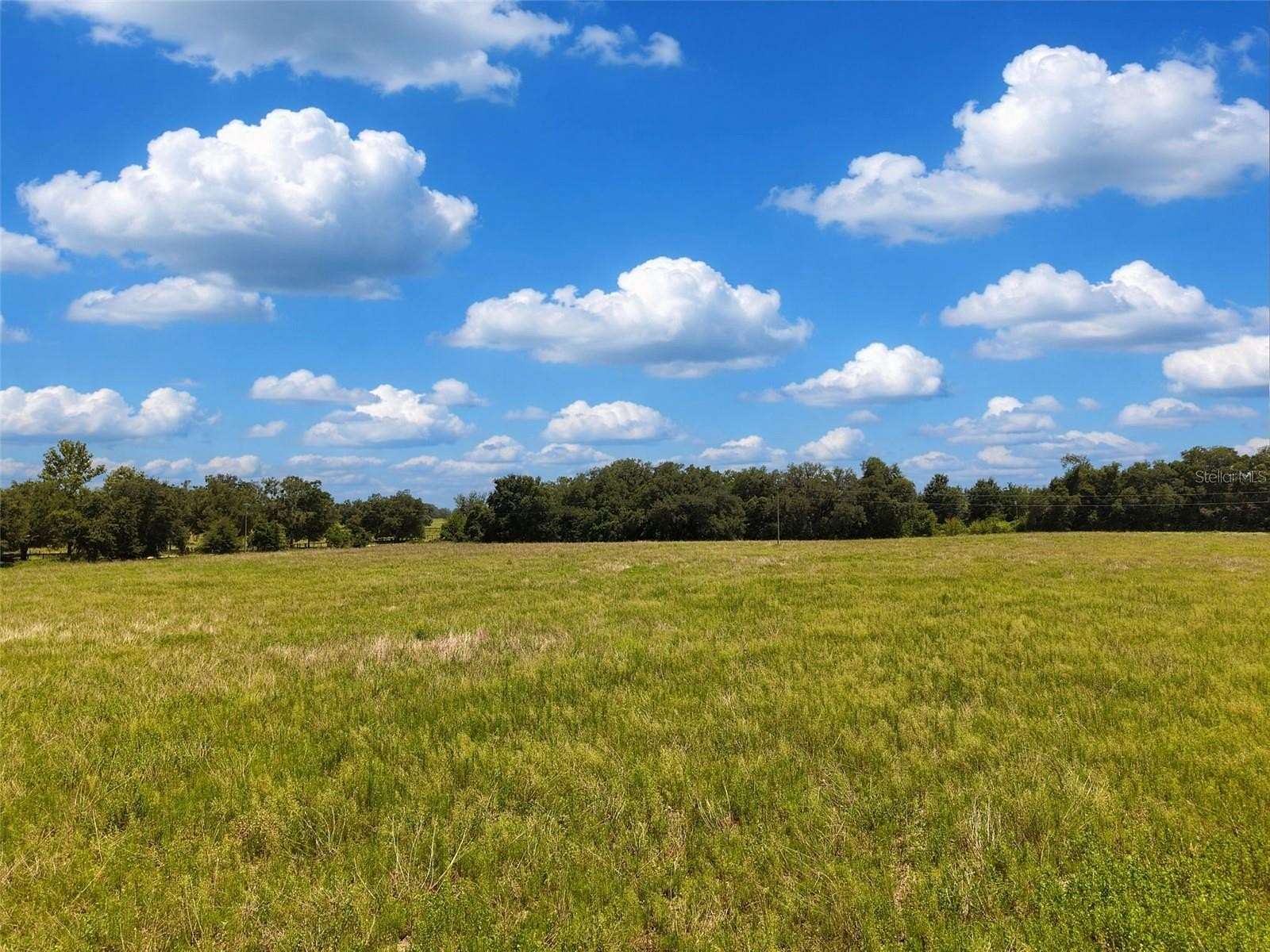 40 Acres of Agricultural Land for Sale in Morriston, Florida