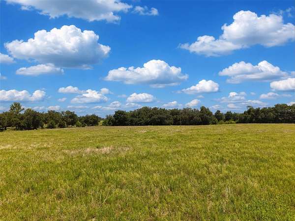 40 Acres of Agricultural Land for Sale in Morriston, Florida
