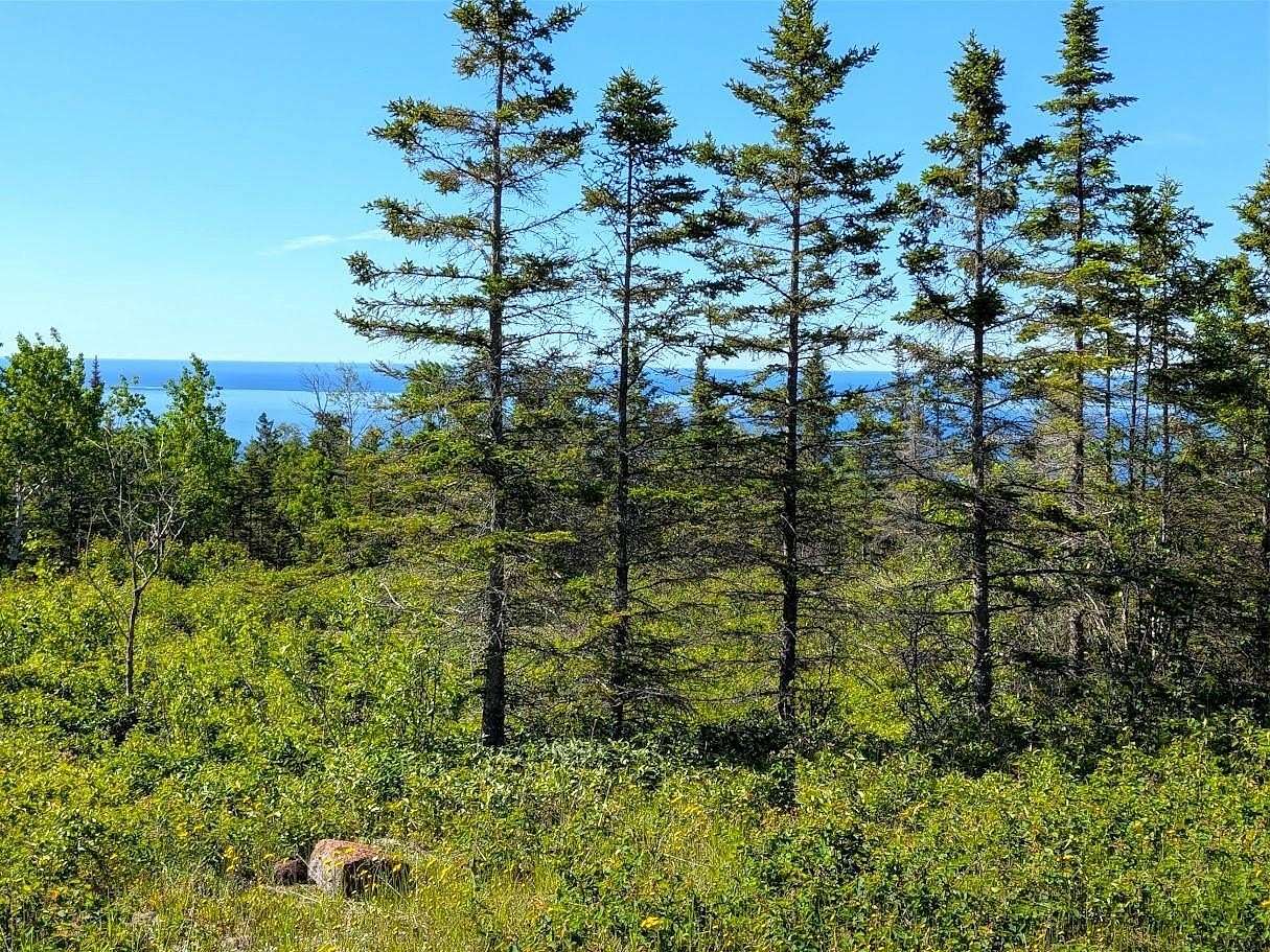 98.4 Acres of Recreational Land for Sale in Hovland, Minnesota