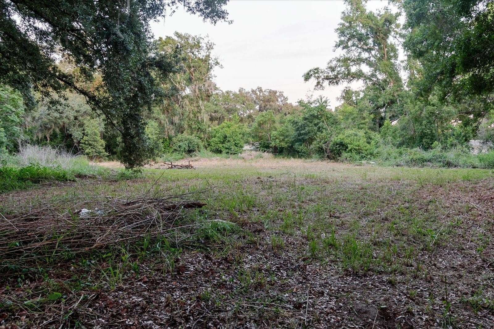 0.85 Acres of Land for Sale in Thonotosassa, Florida