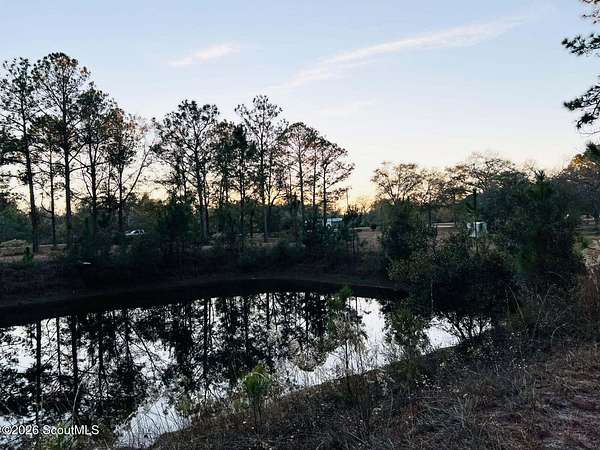 8 Acres of Land for Sale in Screven, Georgia