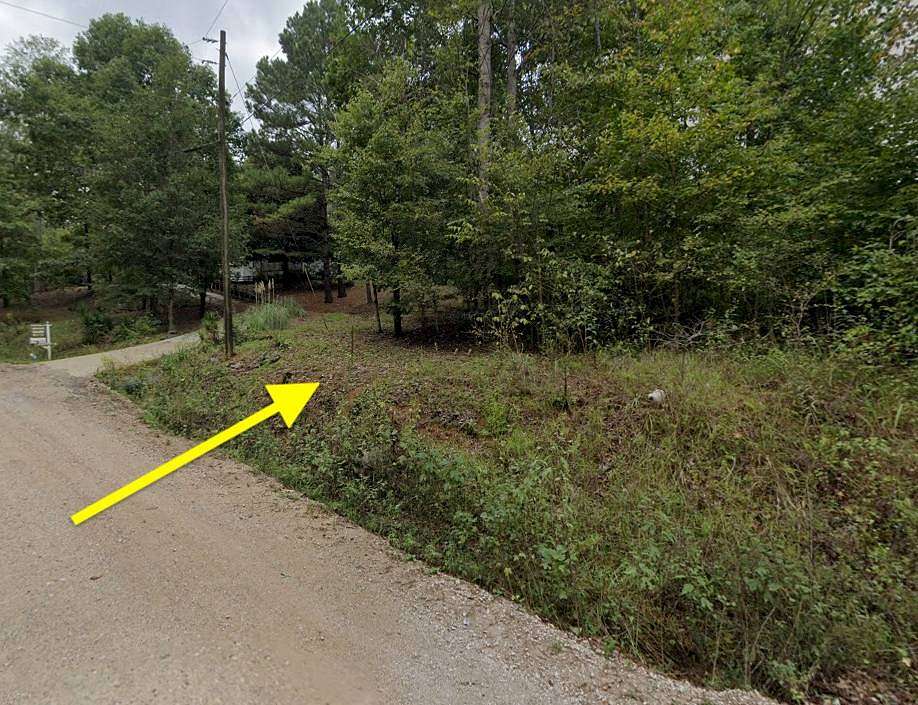 19 Acres of Recreational & Residential Land for Sale in Blountsville, Alabama