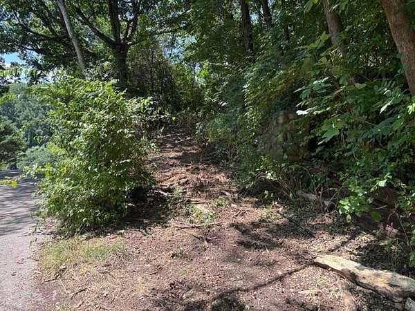 0.44 Acres of Residential Land for Sale in Chattanooga, Tennessee