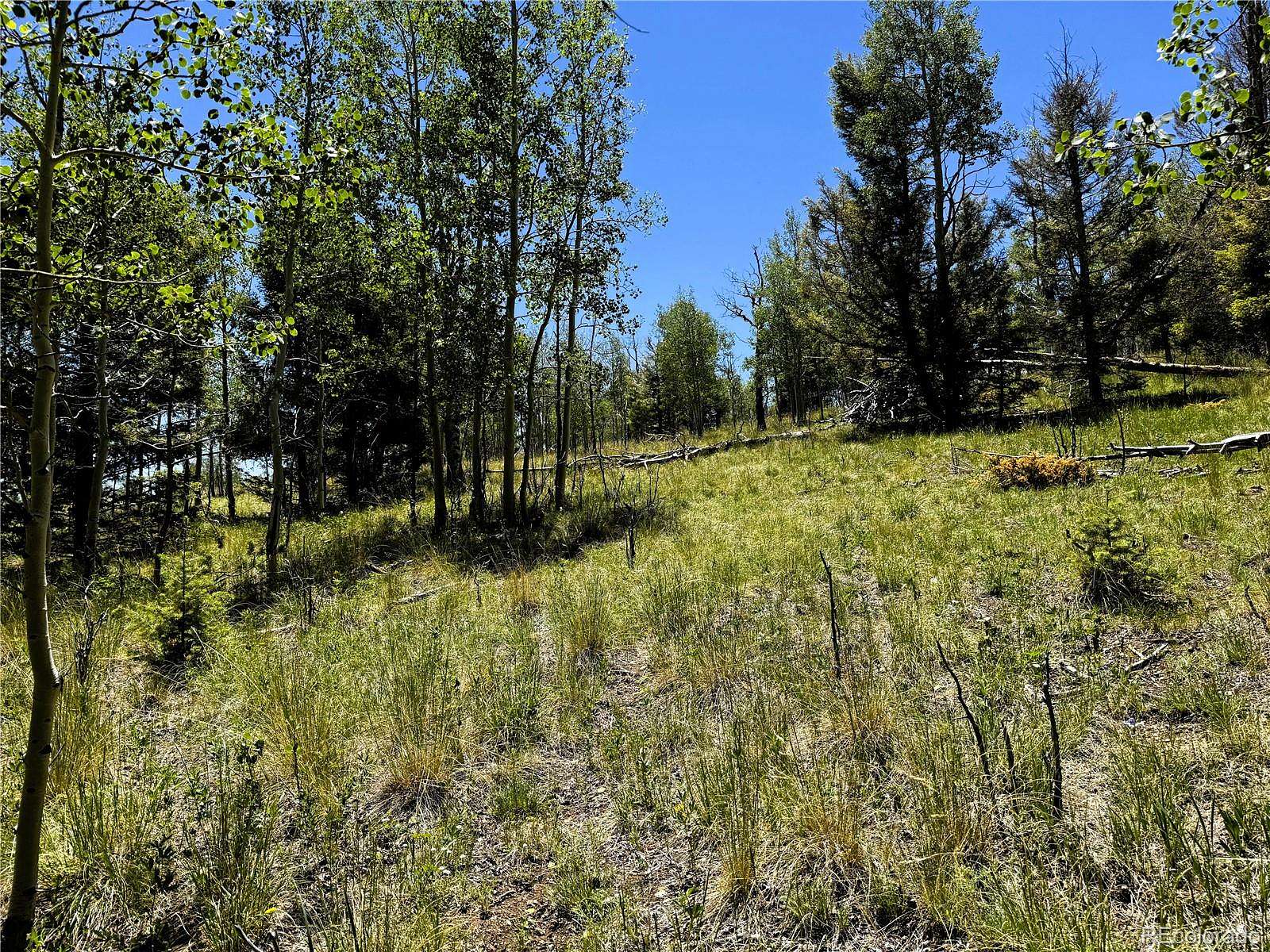 2.75 Acres of Residential Land for Sale in Hartsel, Colorado
