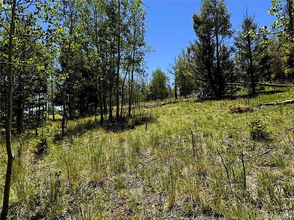 2.75 Acres of Residential Land for Sale in Hartsel, Colorado
