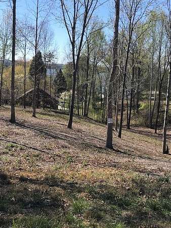 0.52 Acres of Residential Land for Sale in Spring City, Tennessee