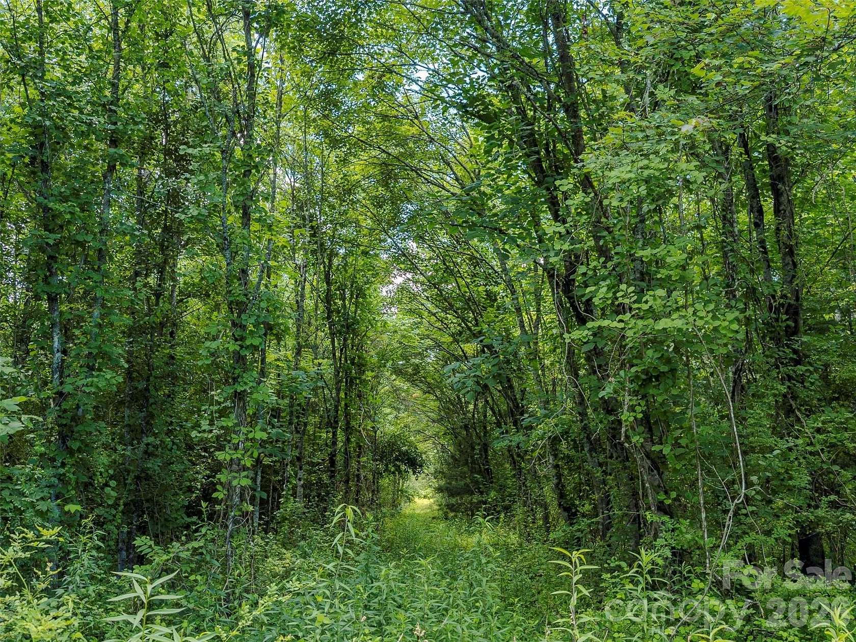 22.8 Acres of Land for Sale in Pisgah Forest, North Carolina