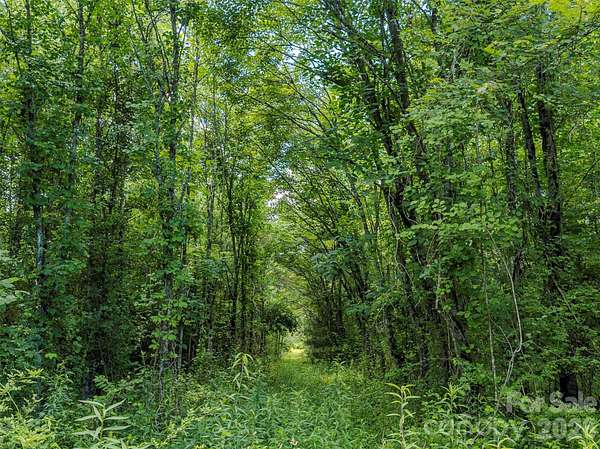 22.8 Acres of Land for Sale in Pisgah Forest, North Carolina