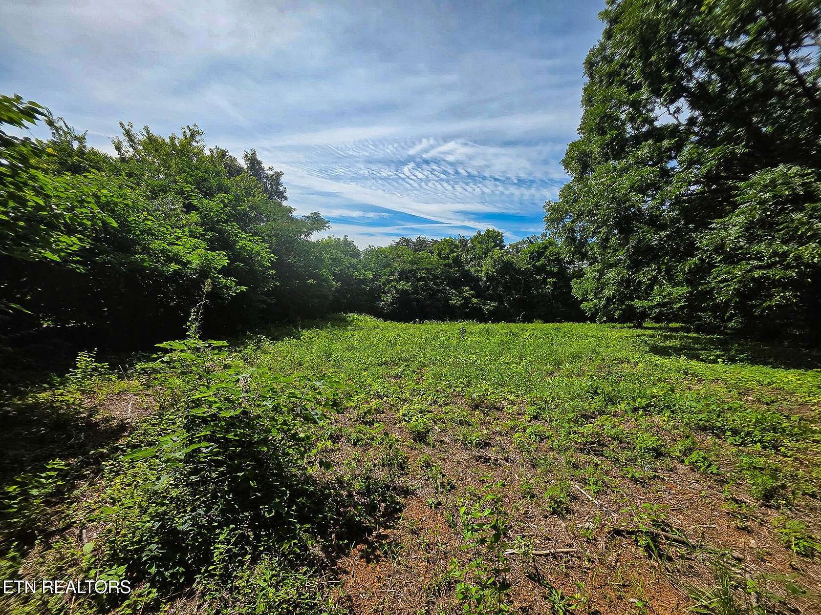 2 Acres of Residential Land for Sale in Knoxville, Tennessee