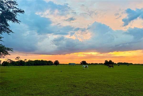 27.6 Acres of Land for Sale in Ona, Florida